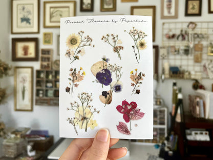 Pressed Flower Collages